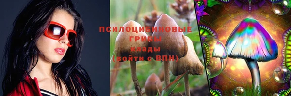 мяу мяу мука Аркадак