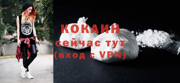мяу мяу мука Аркадак