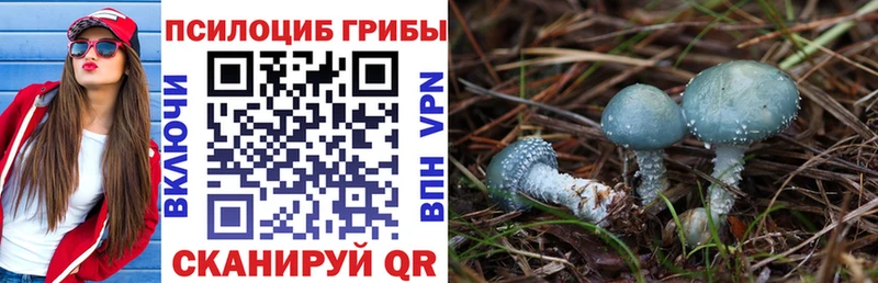 Псилоцибиновые грибы Cubensis  площадка Telegram  Поронайск  дарнет шоп 